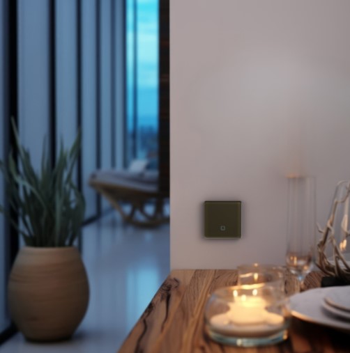 Радиовыключатель HiTE PRO SN-R1 (Темно-коричневый, закругленные углы)-4