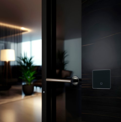 Радиовыключатель HiTE PRO SN-R1 (Графит, закругленные углы)-4