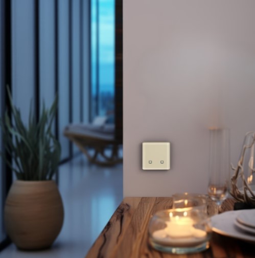 Радиовыключатель HiTE PRO SN-R2 (Слоновая кость, закругленные углы)-4