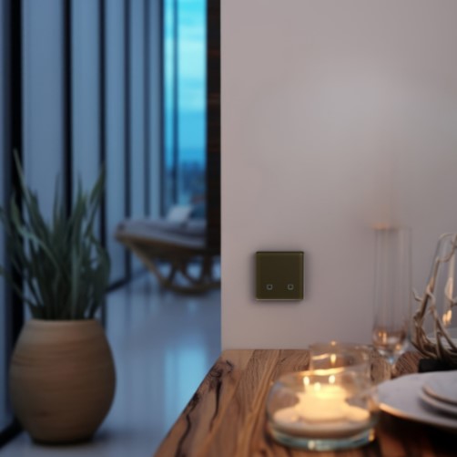 Радиовыключатель HiTE PRO SN-R2 (Темно-коричневый, закругленные углы)-4