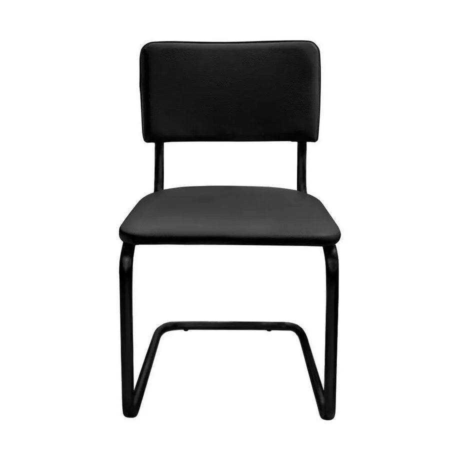 Сильвия черная_2