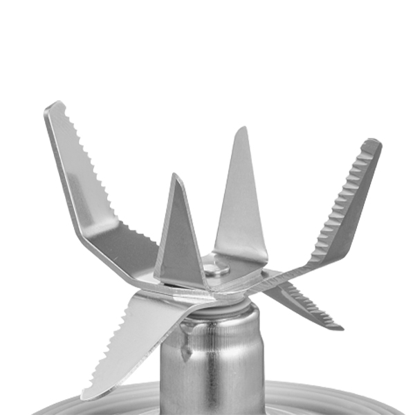 _02_Foto_600x600_SB1000