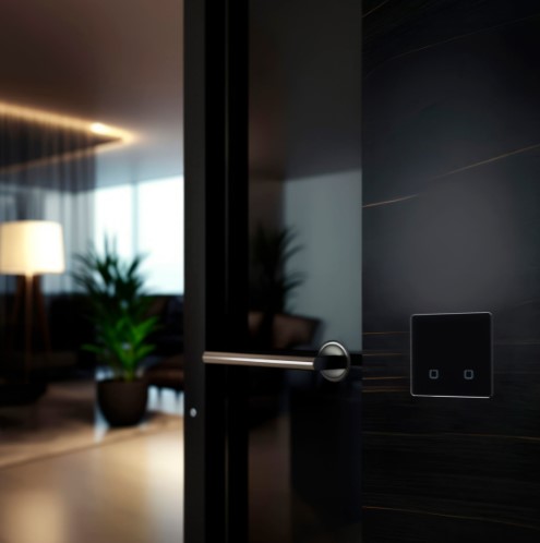 Радиовыключатель HiTE PRO SN-R2 (черный, закругленные углы)-4