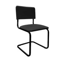 Сильвия черная