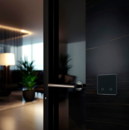 Радиовыключатель HiTE PRO SN-R2 (Графит, закругленные углы)-4