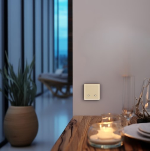 Радиовыключатель HiTE PRO SN-R2 (бежевый, закругленные углы)-4