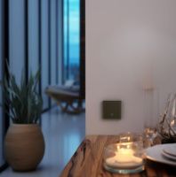 Радиовыключатель HiTE PRO SN-R1 (Темно-коричневый, закругленные углы)-4