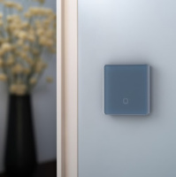 Радиовыключатель HiTE PRO SN-R1 (Серый, закругленные углы)-4