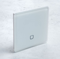 Радиовыключатель SN-R1-3