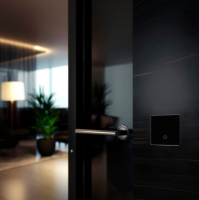 Радиовыключатель HiTE PRO SN-R1 (черный, закругленные углы)-4