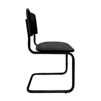 Сильвия черная_3