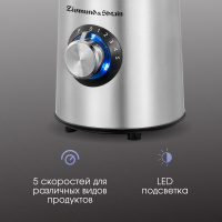 BS-481D_2