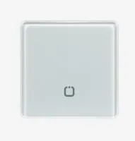 Радиовыключатель HiTE PRO SN-R1 (Светло-серый, закругленные углы)-1