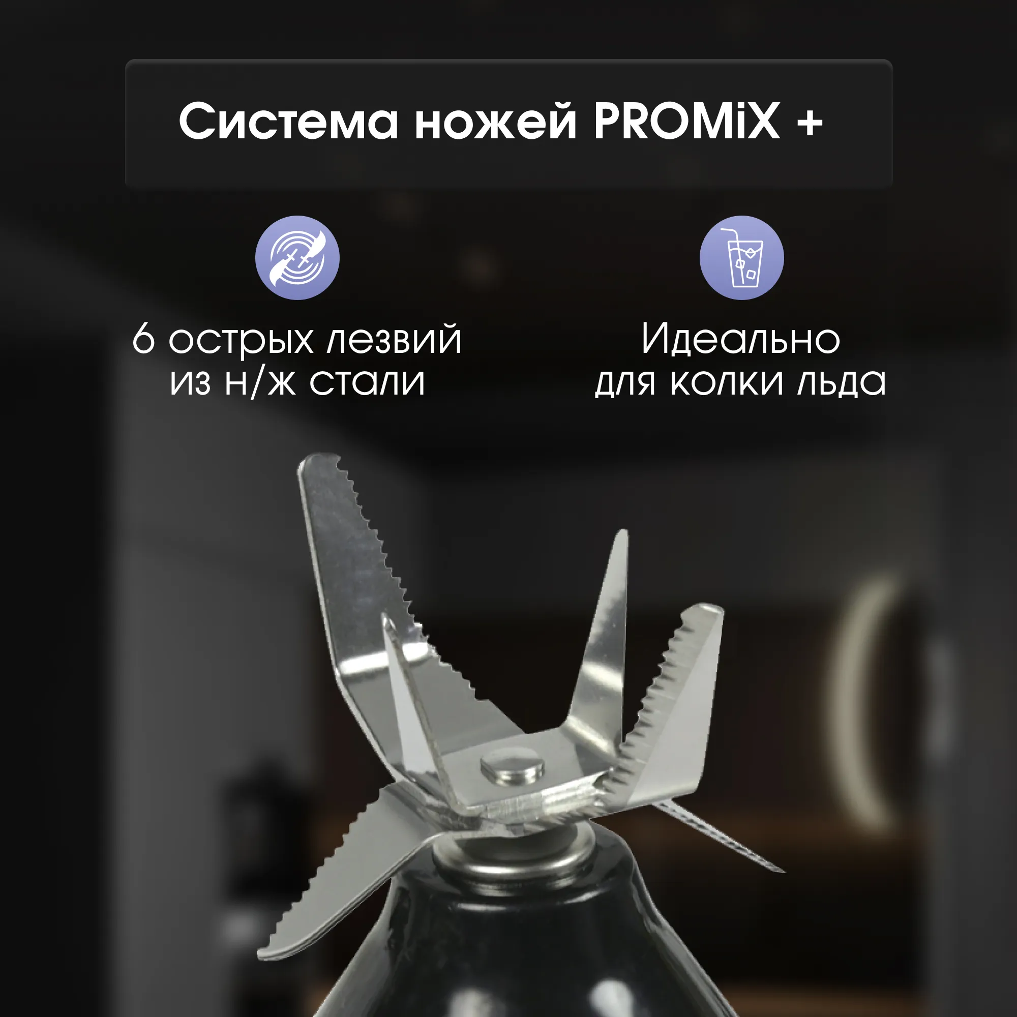 bs441d_5